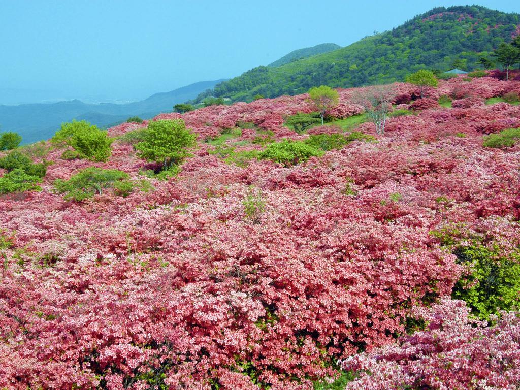 โรงแรมเพิร์ล ซิตี้ เคะเซนนูมะ Kesennuma ภายนอก รูปภาพ